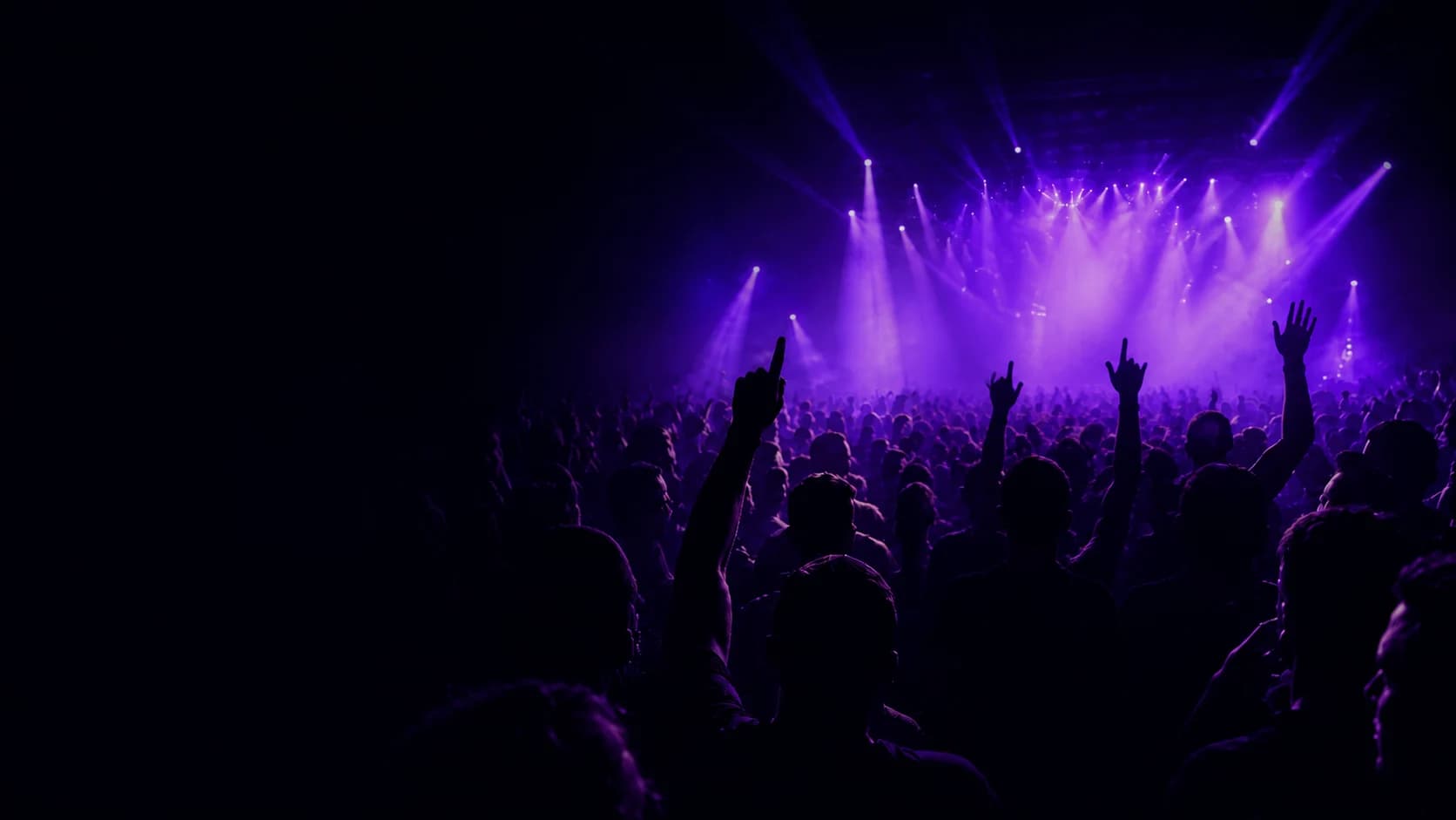 Público disfrutando de un concierto iluminado en violeta